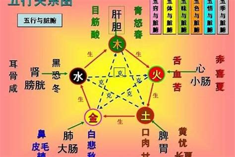 土跟木|五行属木的相生相克关系